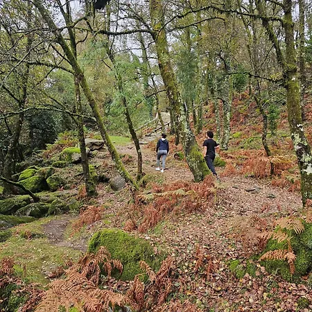 ファームステイ Quinta Vilar De Lobos *