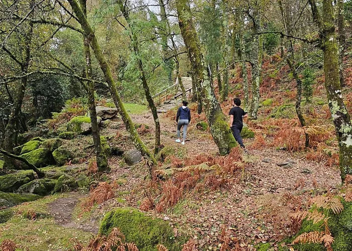 ファームステイ Quinta Vilar De Lobos *